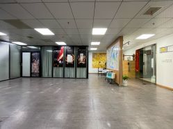 -道宾春健康管理中心