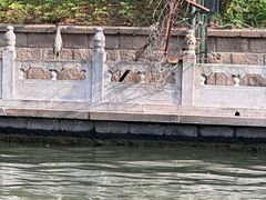-皇家御河游(紫御湾码头)
