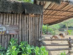 -泉州海丝野生动物世界
