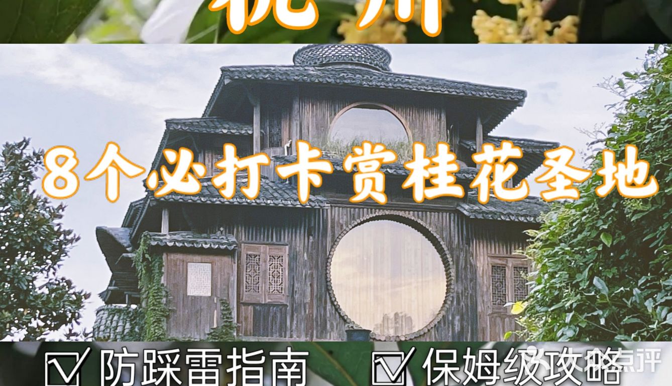 🔥杭州桂花开了，8个赏花圣地，错过后悔