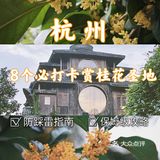 🔥杭州桂花开了，8个赏花圣地，错过后悔