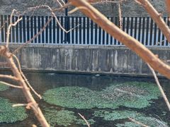 -白水寺森林公园