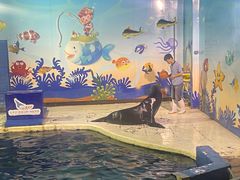 -太平洋海底世界