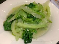 -河畔春天时尚餐厅