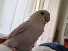 -雨林宠物医院 非犬猫异宠专科