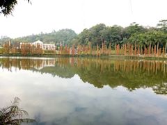 -三水森林公园