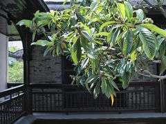 -何园