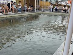 -DGE季风钓虾营地·团建·聚会