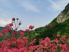 -木兰云雾山