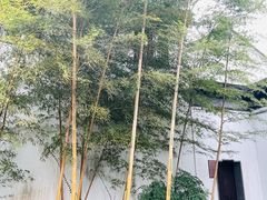 -拙政园