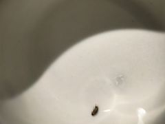 -二丁目食堂(铁西万象汇店)