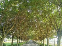 -风云岭森林公园