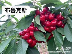 -西郊国际农产品交易中心