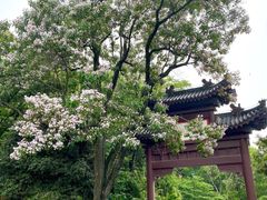 -黄鹤楼