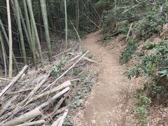 -会稽山峡洞漂流-上青古道