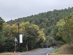 -南京市无想山景区