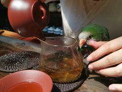 -普洱茶府(博乐广场店)