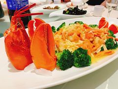 -上海圣淘沙万怡酒店