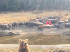 -宁波野生动物园