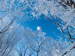 -中旅松花湖滑雪场