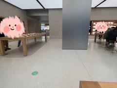 -Apple零售店(玄武湖店)