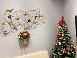 -三只熊皮肤管理中心