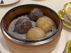 -金燕岛潮州酒楼