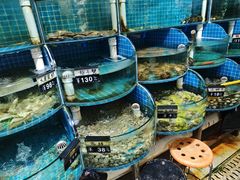 -正亮农家院·海鲜本地菜