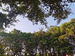 -深圳湾公园(南山区)