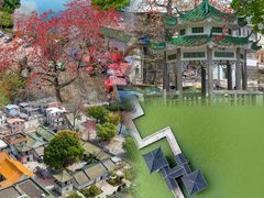 -合江楼