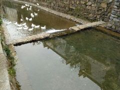 -绩溪龙川景区