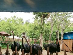 -广州融创文旅城