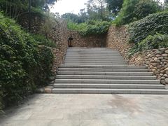-仙岳公园