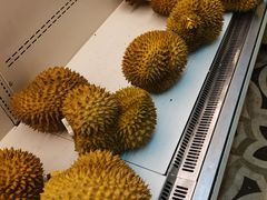 -皇室假期美食水疗会(春风路店)