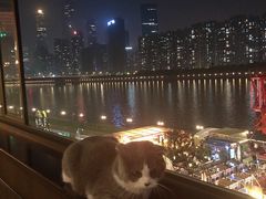 -AZUL by FUEL蓝色·法式酒馆(琶醍店)