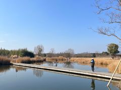 -良渚古城遗址公园