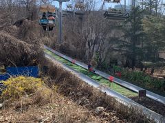 -富斯特索道