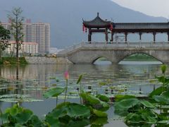 -飞来湖湿地公园