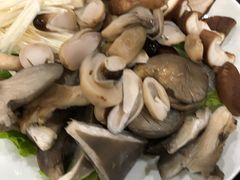 -老诚一锅羊蝎子(垡头店)