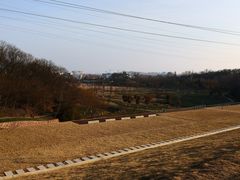 -佛手湖郊野公园