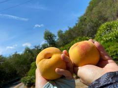 -小南山公园