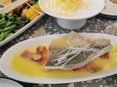 -金香匯晚茶(浑南店)