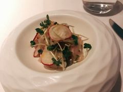 -蝶舍·MAISON PAPILLON