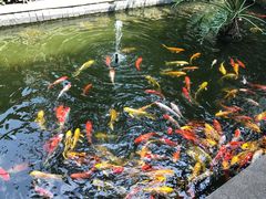 -三亚亚龙湾五号度假别墅酒店