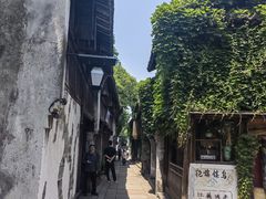 -乌镇西栅景区