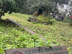 -海口火山口国家地质公园