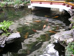 -广州白天鹅宾馆