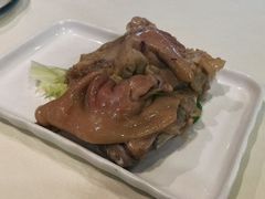 -丁老爷子苏香圆