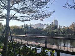 -四海公园(南山区)