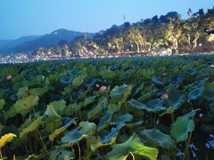 -知味观(湖滨总店)